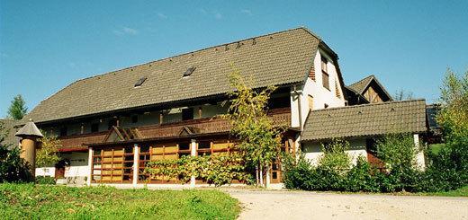 Guest House Turisticna Kmetija Plaznik Ljubno Esterno foto