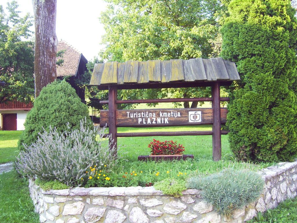 Guest House Turisticna Kmetija Plaznik Ljubno Esterno foto