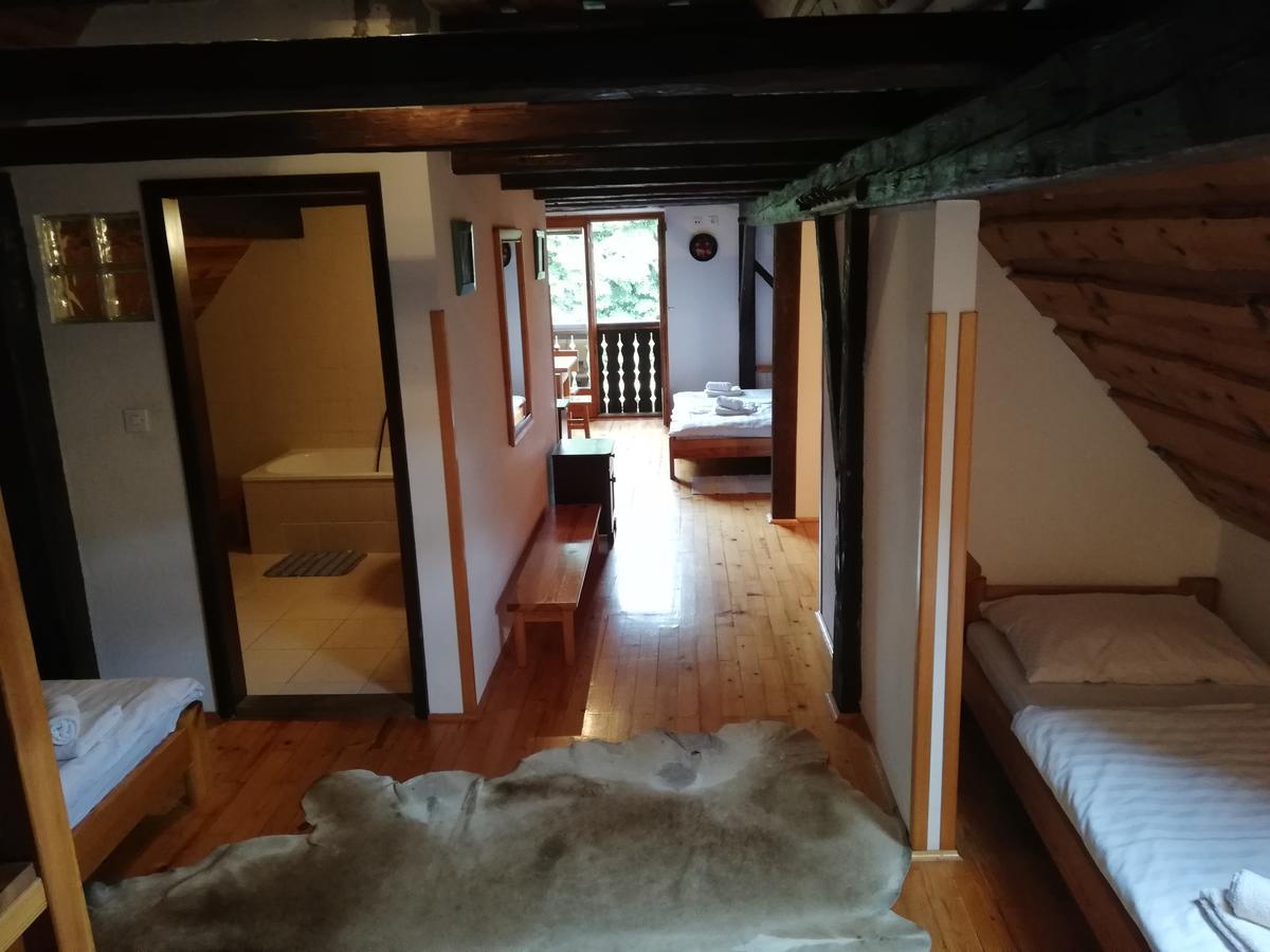 Guest House Turisticna Kmetija Plaznik Ljubno Esterno foto