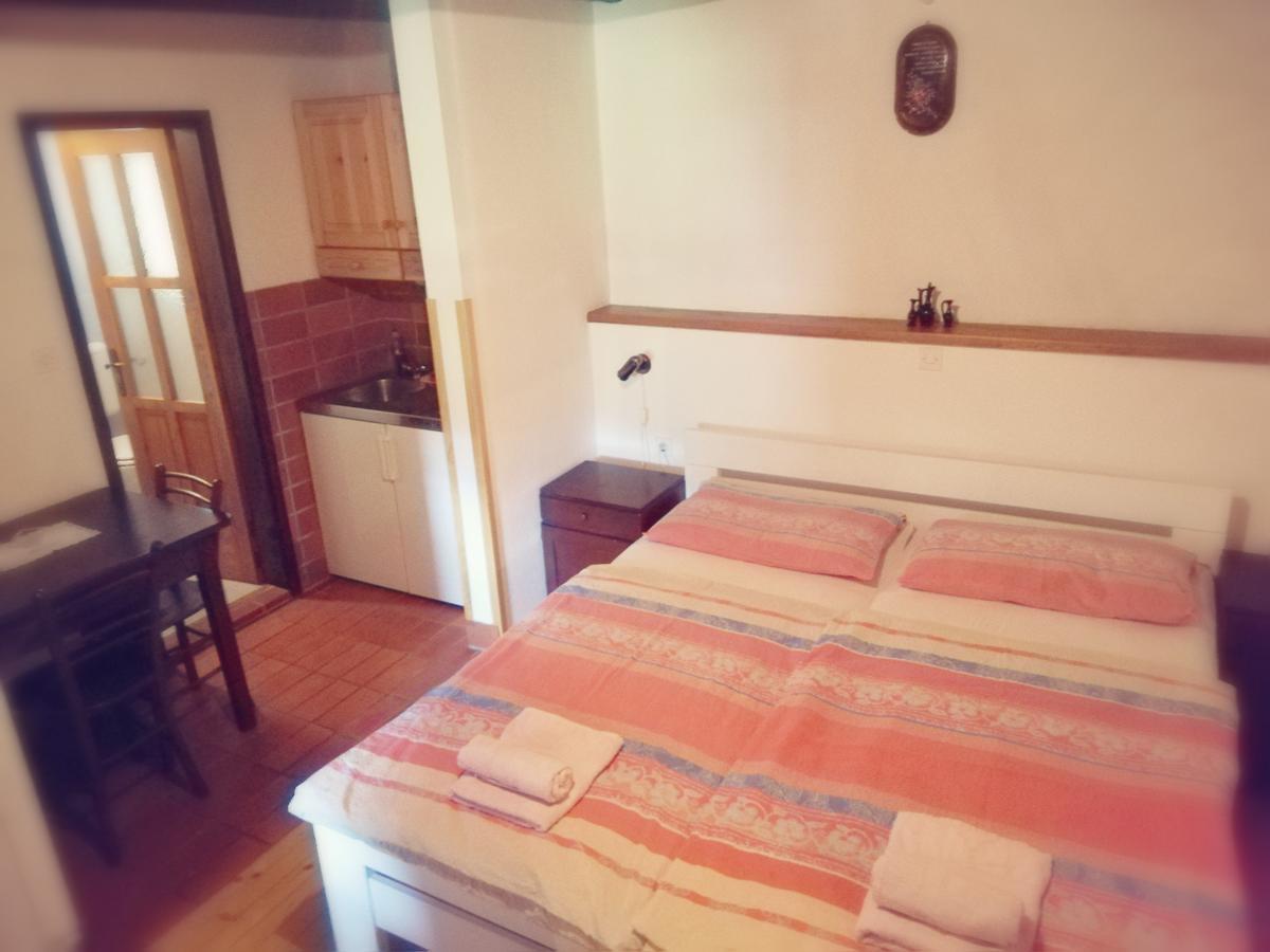 Guest House Turisticna Kmetija Plaznik Ljubno Esterno foto